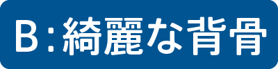 綺麗な背骨