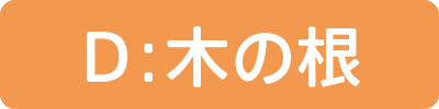 木の根
