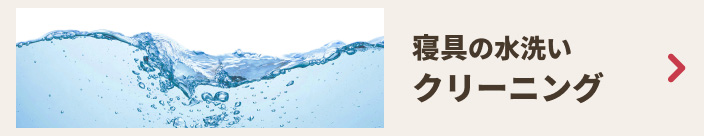 水洗いクリーニング