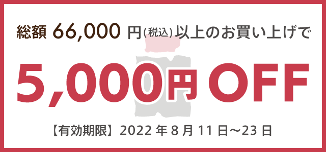 総額66,000円税込以上のお買い上げで5,000円OFF