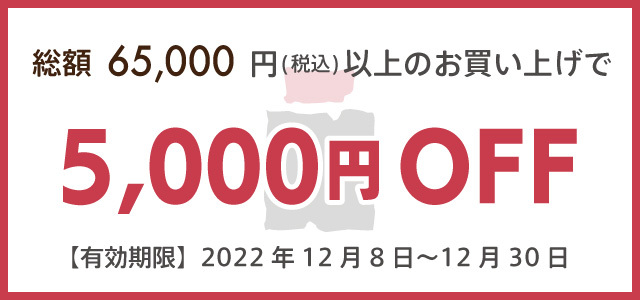 総額65,000円(税込)以上のお買い上げで5,000円off