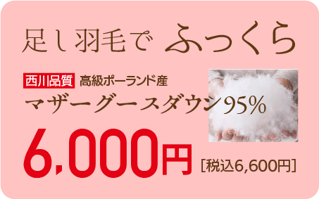 足し羽毛でふっくら 6000円