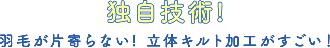 独自技術！羽毛が片寄らない立体キルト加工がすごい！