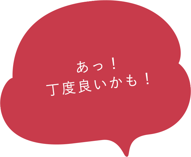 あっ！丁度良いかも！